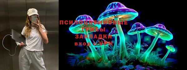 прущая мука Верея
