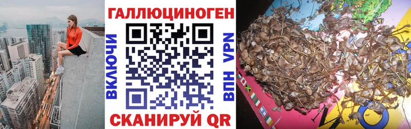 Псилоцибиновые грибы Cubensis  Курск 