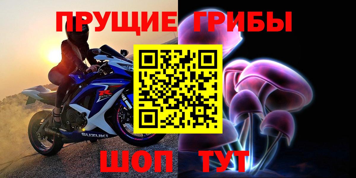 Курск  Псилоцибиновые грибы MAGIC MUSHROOMS  Вход с VPN 