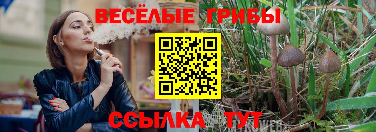 Галлюциногенные грибы Psilocybine cubensis Курск